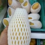 โฟมตาข่ายห่อผลไม้ โฟมกันกระแทก