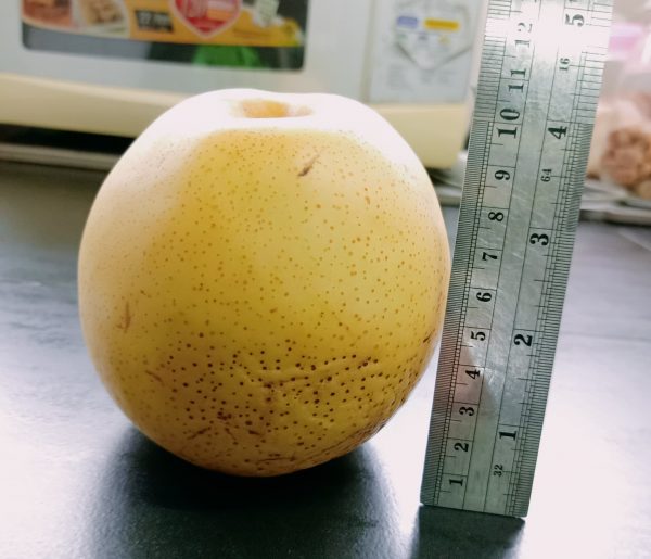 โฟมตาข่ายห่อผลไม้ โฟมกันกระแทก ขนาด L20cm (เส้นใหญ่)