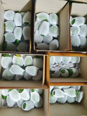 โฟมตาข่ายห่อผลไม้ โฟมกันกระแทก ขนาด S10cm (เส้นเล็ก)