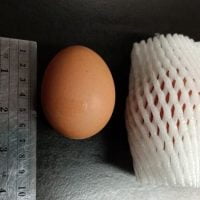 โฟมตาข่ายห่อผลไม้ โฟมกันกระแทก ขนาด S10cm (เส้นเล็ก)